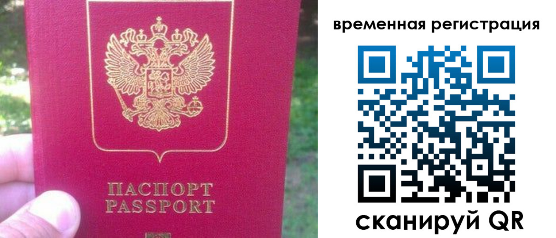 временная регистрация для школы в Новом Осколе